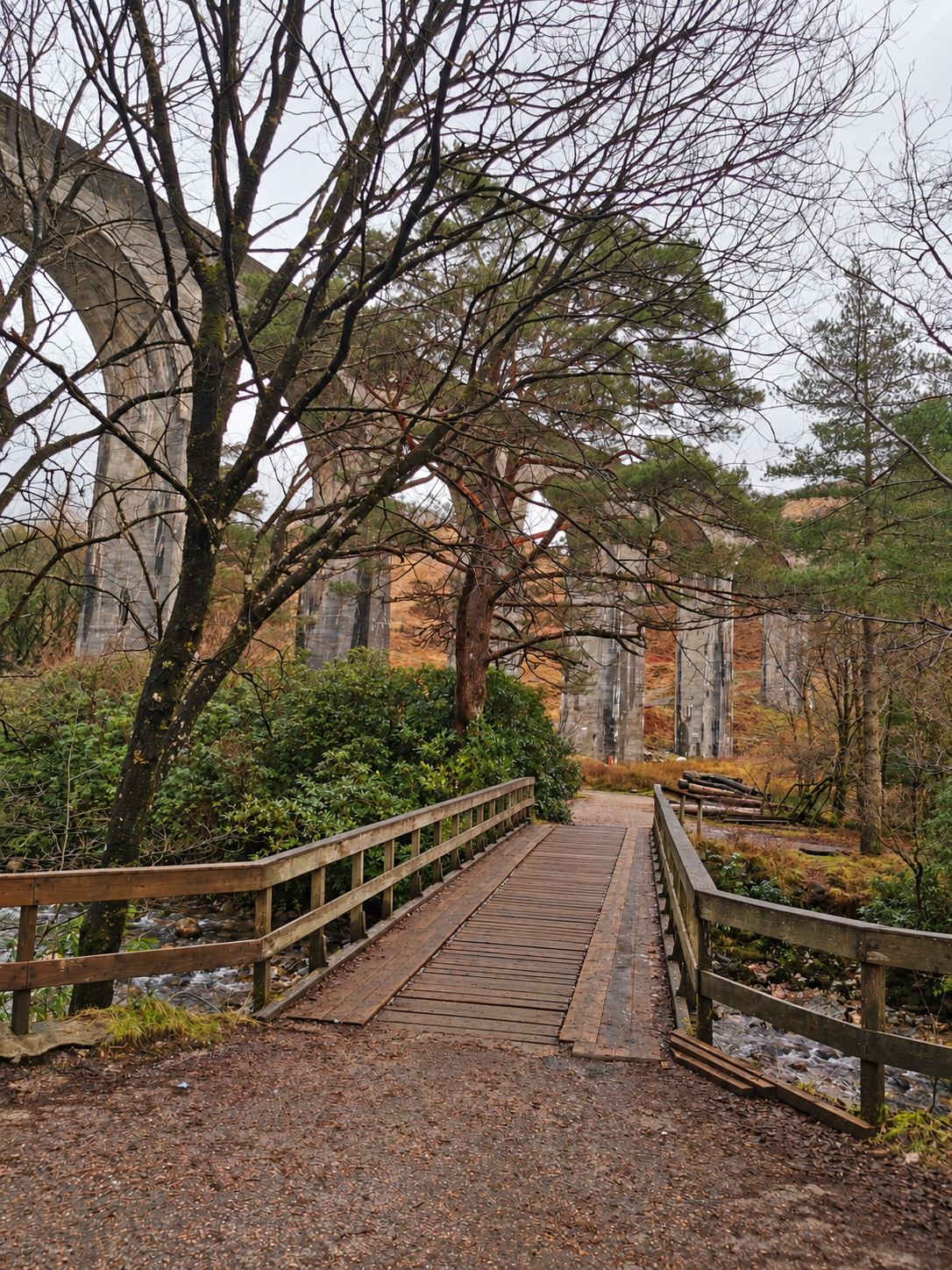 The stream and woodland below the viaduct.